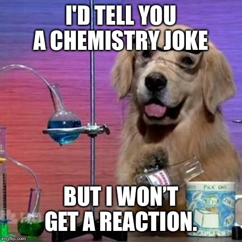 I Have No Idea What I Am Doing Dog | I'D TELL YOU A CHEMISTRY JOKE; BUT I WON’T GET A REACTION. | image tagged in memes,i have no idea what i am doing dog | made w/ Imgflip meme maker