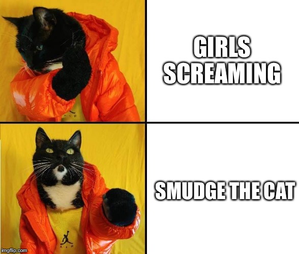 Kitty Drake likes Smudge | GIRLS SCREAMING; SMUDGE THE CAT | image tagged in kitty drake,smudge the cat,cats,memes,funny,drake | made w/ Imgflip meme maker