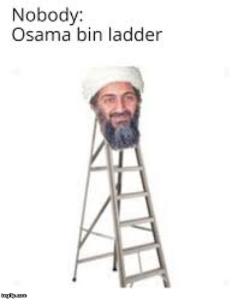 osama bin ladder | image tagged in ladder,osama bin laden | made w/ Imgflip meme maker