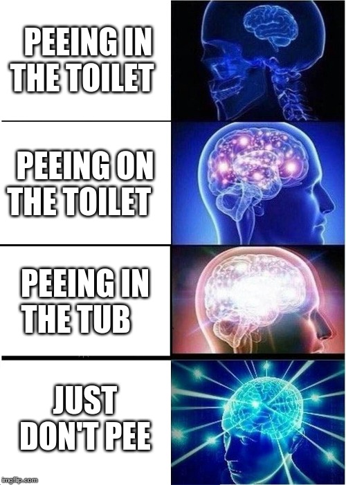 pee | PEEING IN THE TOILET; PEEING ON THE TOILET; PEEING IN THE TUB; JUST DON'T PEE | image tagged in memes,expanding brain,pee | made w/ Imgflip meme maker