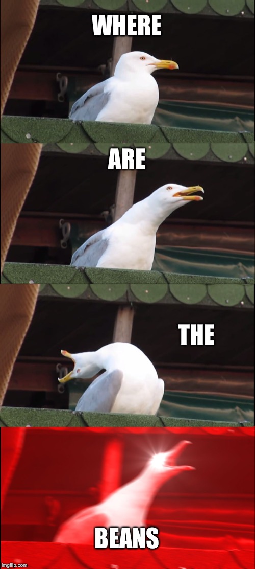 Inhaling Seagull | WHERE; ARE; THE; BEANS | image tagged in memes,inhaling seagull | made w/ Imgflip meme maker