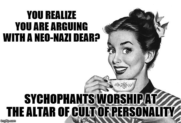 1950s Housewife | YOU REALIZE YOU ARE ARGUING WITH A NEO-NAZI DEAR? SYCHOPHANTS WORSHIP AT THE ALTAR OF CULT OF PERSONALITY | image tagged in 1950s housewife | made w/ Imgflip meme maker