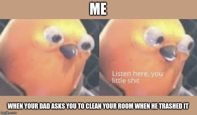 Listen here you little shit bird | ME; WHEN YOUR DAD ASKS YOU TO CLEAN YOUR ROOM WHEN HE TRASHED IT | image tagged in listen here you little shit bird | made w/ Imgflip meme maker