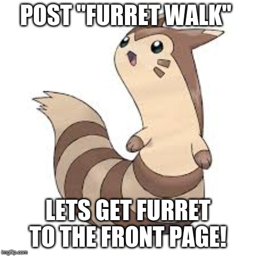 Front page Furret! | POST "FURRET WALK"; LETS GET FURRET TO THE FRONT PAGE! | image tagged in funny pokemon,fun,frontpage | made w/ Imgflip meme maker