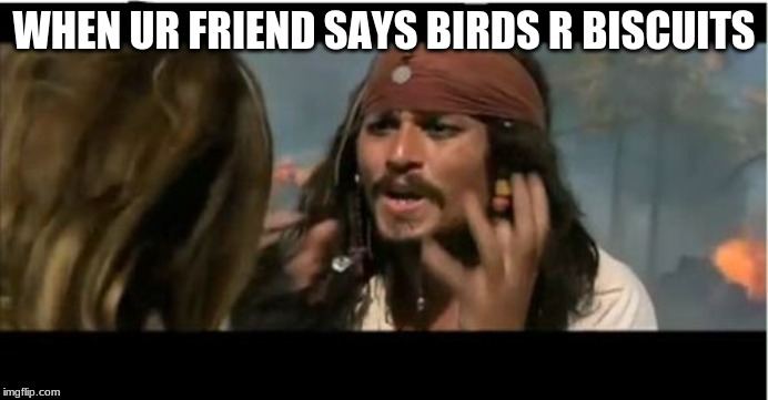 Why Is The Rum Gone Meme | WHEN UR FRIEND SAYS BIRDS R BISCUITS | image tagged in memes,why is the rum gone | made w/ Imgflip meme maker