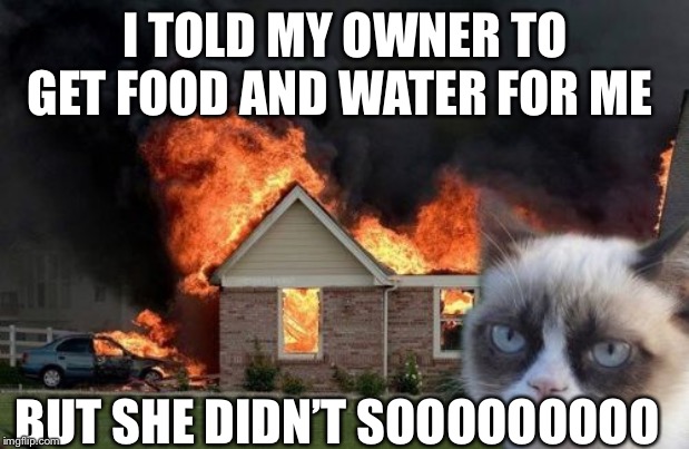 Burn Kitty | I TOLD MY OWNER TO GET FOOD AND WATER FOR ME; BUT SHE DIDN’T SOOOOOOOOO | image tagged in memes,burn kitty,grumpy cat | made w/ Imgflip meme maker