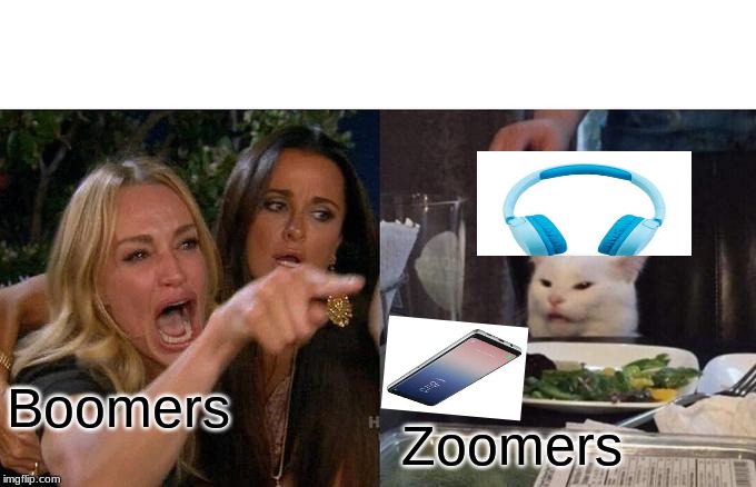 Woman Yelling At Cat | Boomers; Zoomers | image tagged in memes,woman yelling at cat | made w/ Imgflip meme maker