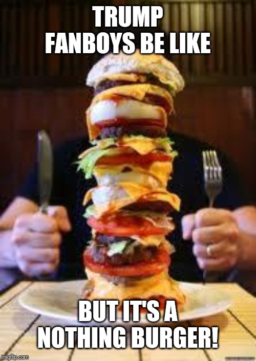 burger | TRUMP FANBOYS BE LIKE BUT IT'S A NOTHING BURGER! | image tagged in burger | made w/ Imgflip meme maker