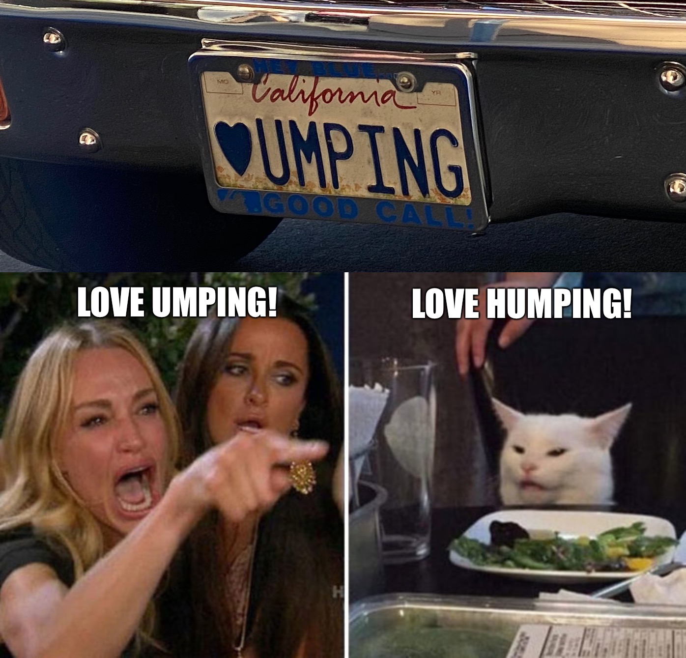 Love Umping Humping | LOVE UMPING! LOVE HUMPING! | image tagged in woman yelling at white cat,memes,smudge the cat,cat at table | made w/ Imgflip meme maker