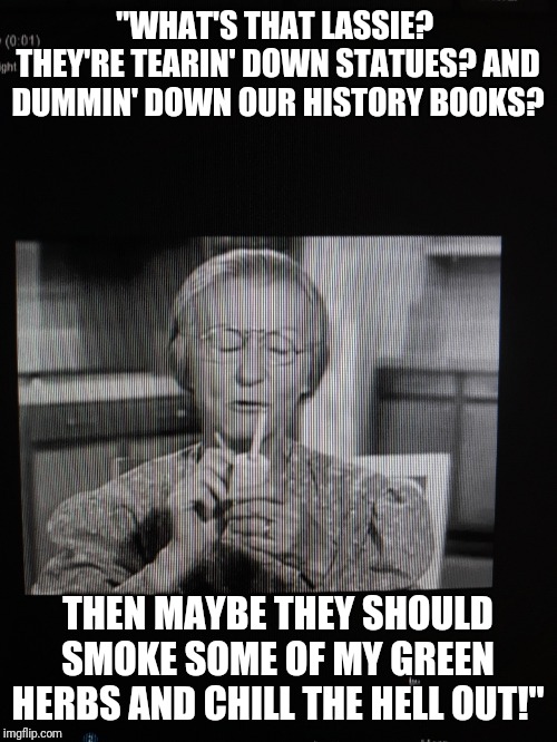Happy Birds! | "WHAT'S THAT LASSIE?  THEY'RE TEARIN' DOWN STATUES? AND DUMMIN' DOWN OUR HISTORY BOOKS? THEN MAYBE THEY SHOULD SMOKE SOME OF MY GREEN HERBS AND CHILL THE HELL OUT!" | image tagged in libtards | made w/ Imgflip meme maker