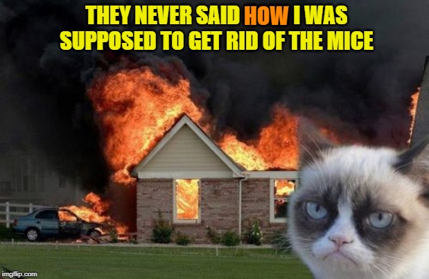 Be more specific next time | HOW; THEY NEVER SAID HOW I WAS SUPPOSED TO GET RID OF THE MICE | image tagged in memes,burn kitty,grumpy cat | made w/ Imgflip meme maker