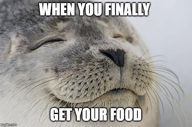 Satisfied Seal | WHEN YOU FINALLY; GET YOUR FOOD | image tagged in memes,satisfied seal | made w/ Imgflip meme maker