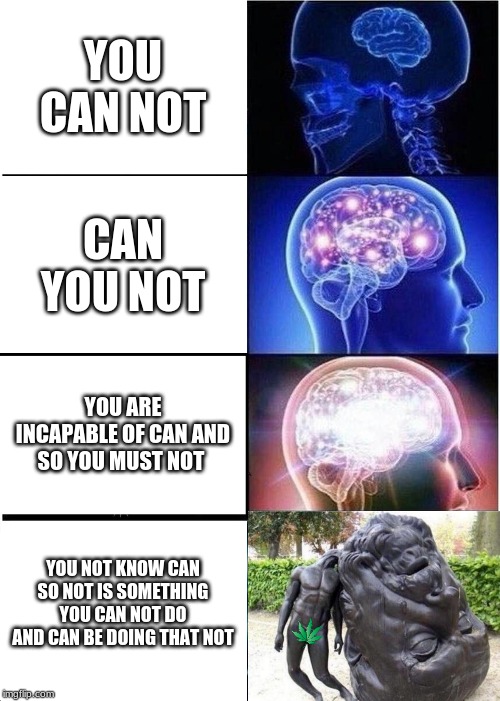 Expanding Brain | YOU CAN NOT; CAN YOU NOT; YOU ARE INCAPABLE OF CAN AND SO YOU MUST NOT; YOU NOT KNOW CAN SO NOT IS SOMETHING YOU CAN NOT DO AND CAN BE DOING THAT NOT | image tagged in memes,expanding brain,funny | made w/ Imgflip meme maker