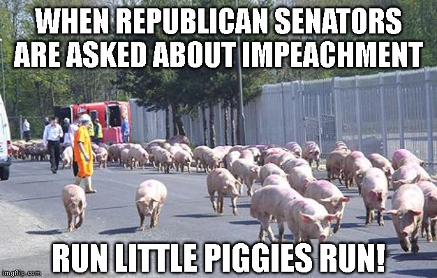 Republicans Will Be Slaughtered In 2020 | WHEN REPUBLICAN SENATORS ARE ASKED ABOUT IMPEACHMENT; RUN LITTLE PIGGIES RUN! | image tagged in anyone but trump,democrats,democracy,republicans,election 2020,impeach trump | made w/ Imgflip meme maker