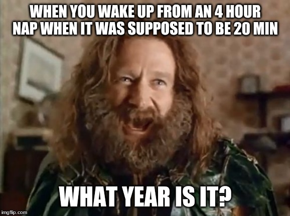 What Year Is It Meme | WHEN YOU WAKE UP FROM AN 4 HOUR NAP WHEN IT WAS SUPPOSED TO BE 20 MIN; WHAT YEAR IS IT? | image tagged in memes,what year is it | made w/ Imgflip meme maker