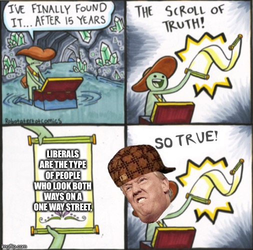 The Real Scroll Of Truth | LIBERALS ARE THE TYPE OF PEOPLE WHO LOOK BOTH WAYS ON A ONE WAY STREET, | image tagged in the real scroll of truth | made w/ Imgflip meme maker