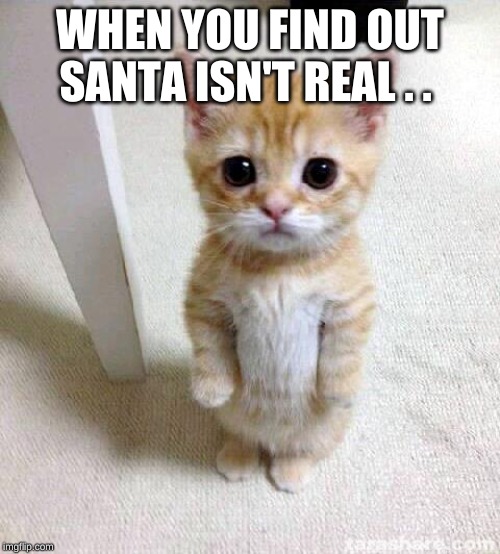 Cute Cat Meme | WHEN YOU FIND OUT SANTA ISN'T REAL . . | image tagged in memes,cute cat | made w/ Imgflip meme maker