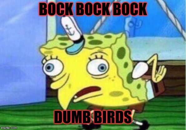 Mocking Spongebob | BOCK BOCK BOCK; DUMB BIRDS | image tagged in memes,mocking spongebob | made w/ Imgflip meme maker