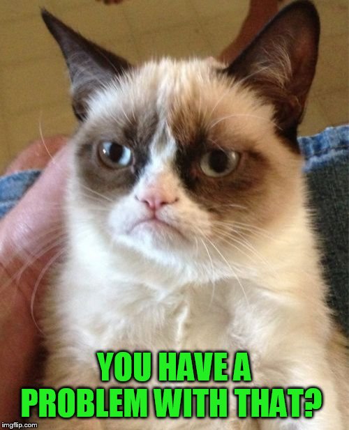 Grumpy Cat Meme | YOU HAVE A PROBLEM WITH THAT? | image tagged in memes,grumpy cat | made w/ Imgflip meme maker
