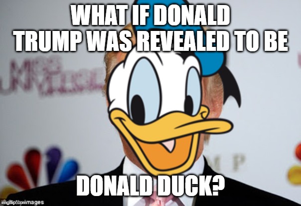 Donald "Duck" Trump | WHAT IF DONALD TRUMP WAS REVEALED TO BE; DONALD DUCK? | image tagged in donald trump,donald duck | made w/ Imgflip meme maker