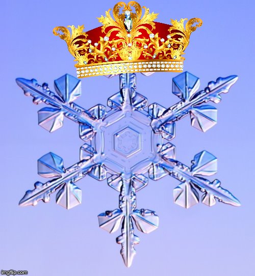 Special snowflake | image tagged in special snowflake | made w/ Imgflip meme maker