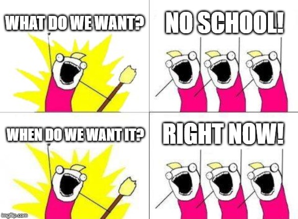 What Do We Want | WHAT DO WE WANT? NO SCHOOL! RIGHT NOW! WHEN DO WE WANT IT? | image tagged in memes,what do we want | made w/ Imgflip meme maker
