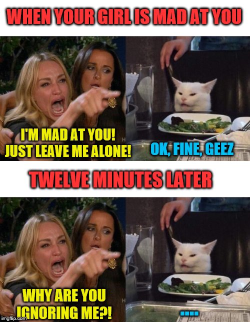 This is exactly like me, I'll admit it :) | WHEN YOUR GIRL IS MAD AT YOU; I'M MAD AT YOU! JUST LEAVE ME ALONE! OK, FINE, GEEZ; TWELVE MINUTES LATER; WHY ARE YOU IGNORING ME?! .... | image tagged in memes,woman yelling at cat,men and women,relationships | made w/ Imgflip meme maker