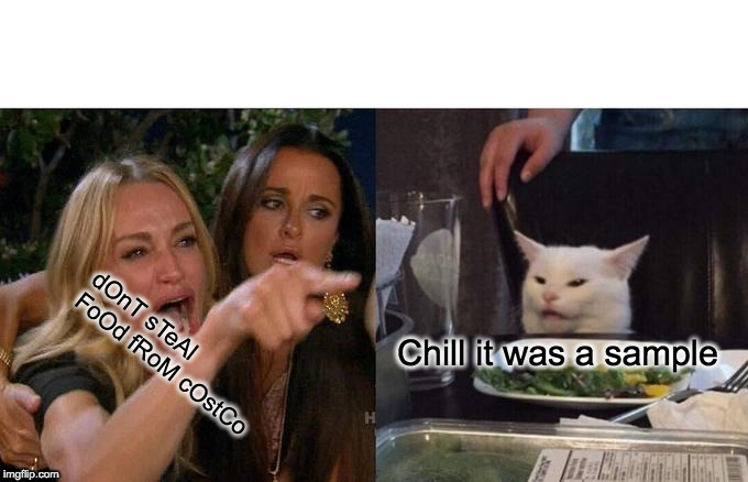 Woman Yelling At Cat Meme | Chill it was a sample; dOnT sTeAl FoOd fRoM cOstCo | image tagged in memes,woman yelling at cat | made w/ Imgflip meme maker