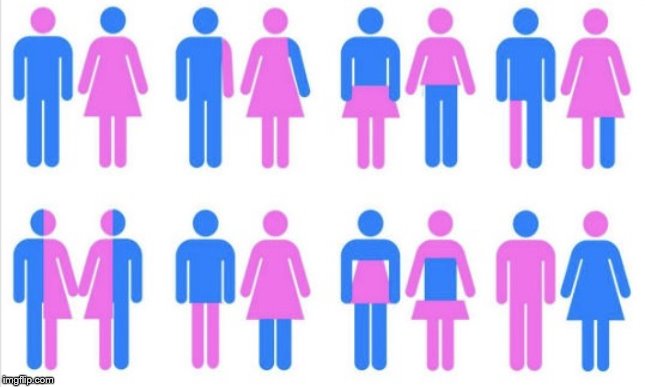 Gender chart 58 genders | image tagged in gender chart 58 genders | made w/ Imgflip meme maker