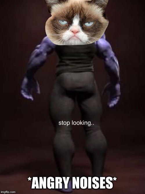 StahP | *ANGRY NOISES* | image tagged in grumpy cat,rip,oof | made w/ Imgflip meme maker