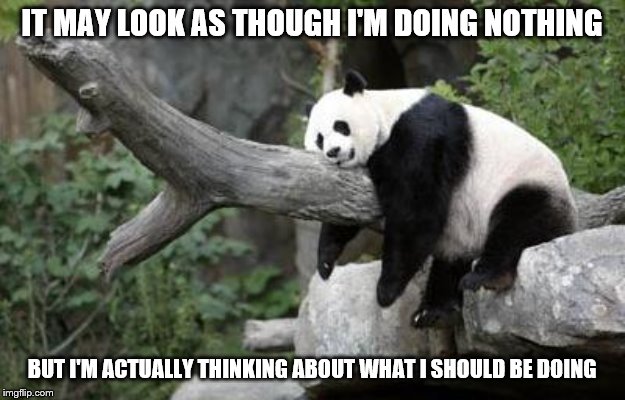 lazy panda | IT MAY LOOK AS THOUGH I'M DOING NOTHING; BUT I'M ACTUALLY THINKING ABOUT WHAT I SHOULD BE DOING | image tagged in lazy panda | made w/ Imgflip meme maker