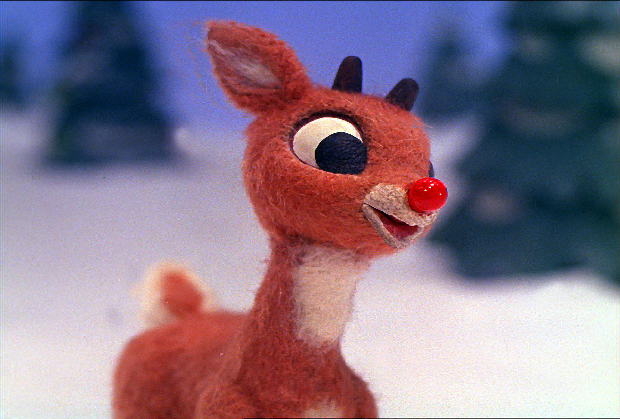 evil rudolph Blank Meme Template