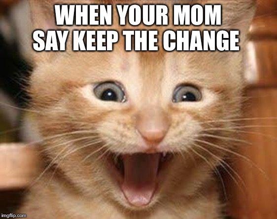 Excited Cat Meme | WHEN YOUR MOM SAY KEEP THE CHANGE | image tagged in memes,excited cat | made w/ Imgflip meme maker