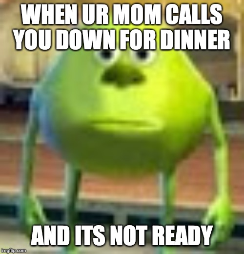 Sully Wazowski | WHEN UR MOM CALLS YOU DOWN FOR DINNER; AND ITS NOT READY | image tagged in sully wazowski | made w/ Imgflip meme maker
