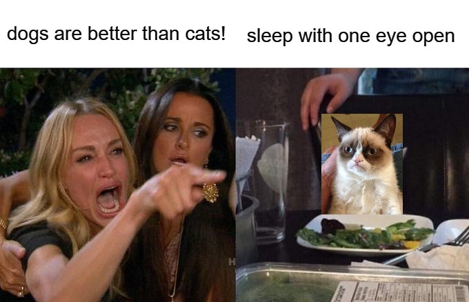 Woman Yelling At Cat Meme | sleep with one eye open; dogs are better than cats! | image tagged in memes,woman yelling at cat,grumpy cat | made w/ Imgflip meme maker