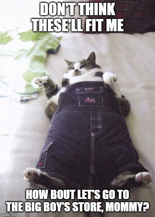 Fat Cat Meme | DON'T THINK THESE'LL FIT ME; HOW BOUT LET'S GO TO THE BIG BOY'S STORE, MOMMY? | image tagged in memes,fat cat | made w/ Imgflip meme maker