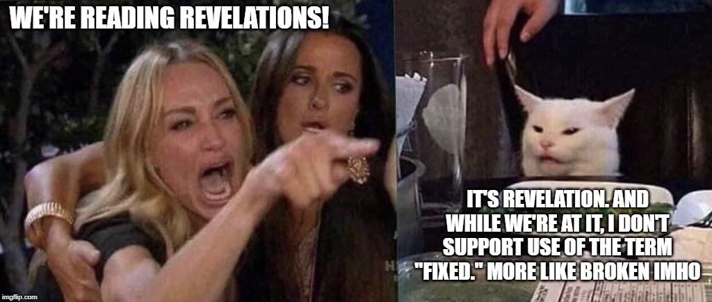 woman yelling at cat | WE'RE READING REVELATIONS! IT'S REVELATION. AND WHILE WE'RE AT IT, I DON'T SUPPORT USE OF THE TERM "FIXED." MORE LIKE BROKEN IMHO | image tagged in woman yelling at cat | made w/ Imgflip meme maker