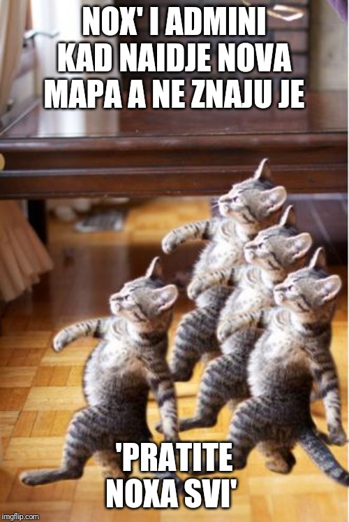 4 cat follow go back | NOX' I ADMINI KAD NAIDJE NOVA MAPA A NE ZNAJU JE; 'PRATITE NOXA SVI' | image tagged in 4 cat follow go back | made w/ Imgflip meme maker
