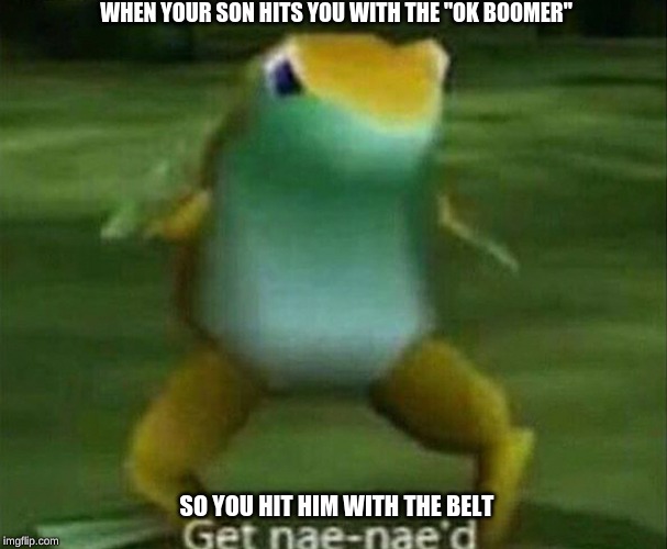 Get nae-nae'd | WHEN YOUR SON HITS YOU WITH THE "OK BOOMER"; SO YOU HIT HIM WITH THE BELT | image tagged in get nae-nae'd | made w/ Imgflip meme maker