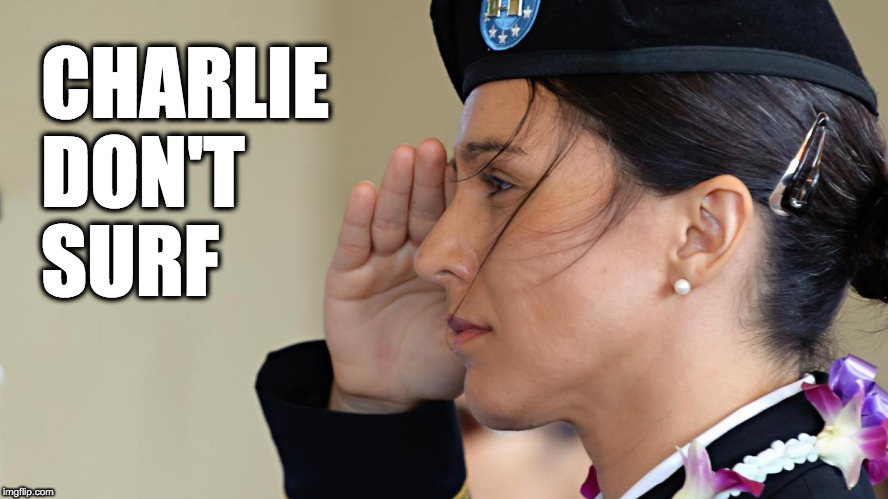 Charlie Don't Surf | CHARLIE
DON'T
SURF | image tagged in tulsi,gabbard | made w/ Imgflip meme maker