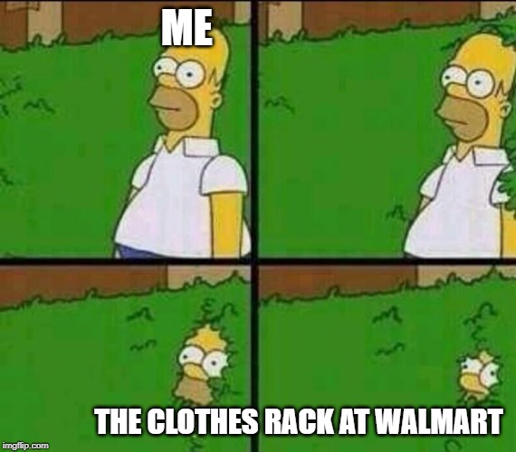 Homer Simpson in Bush - Large | ME; THE CLOTHES RACK AT WALMART | image tagged in homer simpson in bush - large | made w/ Imgflip meme maker