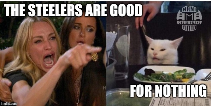 white cat table | THE STEELERS ARE GOOD; FOR NOTHING | image tagged in white cat table | made w/ Imgflip meme maker