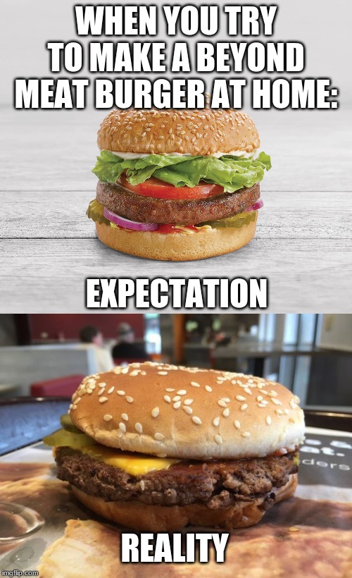 WHEN YOU TRY TO MAKE A BEYOND MEAT BURGER AT HOME:; EXPECTATION; REALITY | image tagged in beyondmeat | made w/ Imgflip meme maker