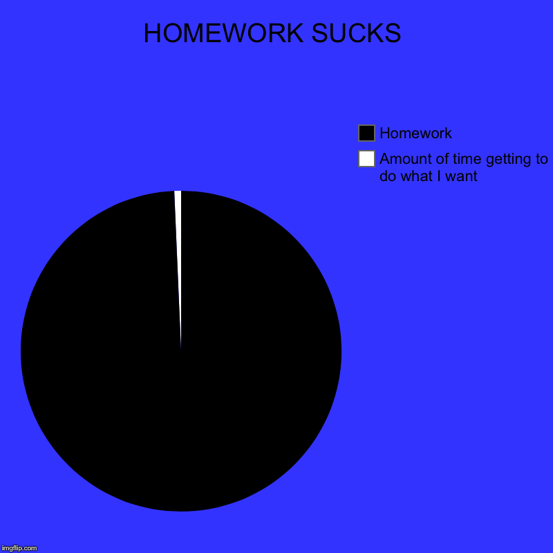 HOMEWORK SUCKS | Amount of time getting to do what I want, Homework | image tagged in charts,pie charts | made w/ Imgflip chart maker