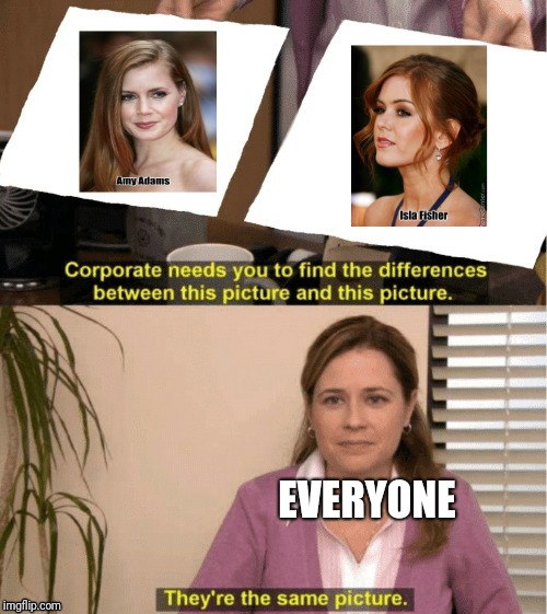 Office comparison meme | EVERYONE | image tagged in office same picture,actress,amy adams,movies,hollywood | made w/ Imgflip meme maker