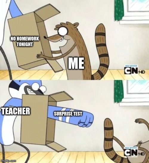 Mordecai Punches Rigby Through a Box | NO HOMEWORK TONIGHT; ME; TEACHER; SURPRISE TEST | image tagged in mordecai punches rigby through a box | made w/ Imgflip meme maker