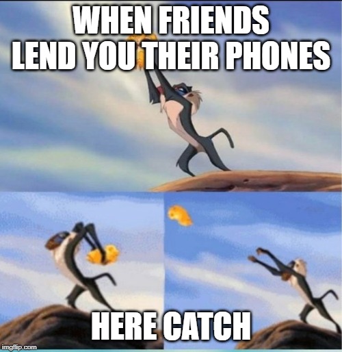 lion being yeeted | WHEN FRIENDS LEND YOU THEIR PHONES; HERE CATCH | image tagged in lion being yeeted | made w/ Imgflip meme maker
