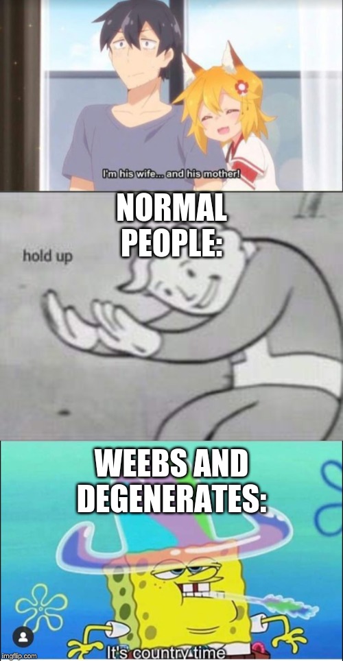 NORMAL PEOPLE:; WEEBS AND DEGENERATES: | image tagged in fallout hold up | made w/ Imgflip meme maker