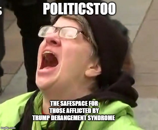 It Should Be Named The Trump Derangement Ward | POLITICSTOO; THE SAFESPACE FOR THOSE AFFLICTED BY TRUMP DERANGEMENT SYNDROME | image tagged in trump derangement syndrome,politicstoo,crybullies,safespace | made w/ Imgflip meme maker