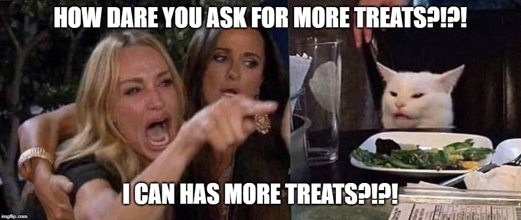 woman yelling at cat | HOW DARE YOU ASK FOR MORE TREATS?!?! I CAN HAS MORE TREATS?!?! | image tagged in woman yelling at cat | made w/ Imgflip meme maker